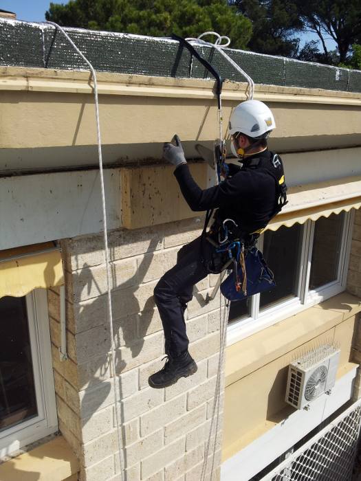 Travaux sur corde pour la pose de pic anti pigeons en hauteur  