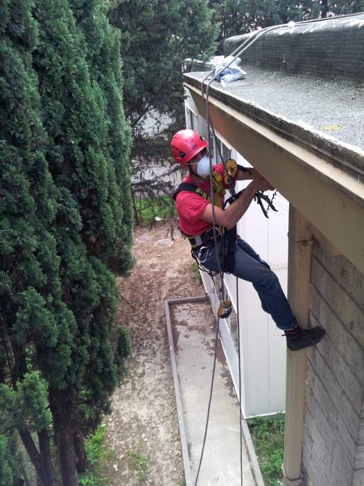 Nettoyage en hauteur des nids de pigeons en faade 