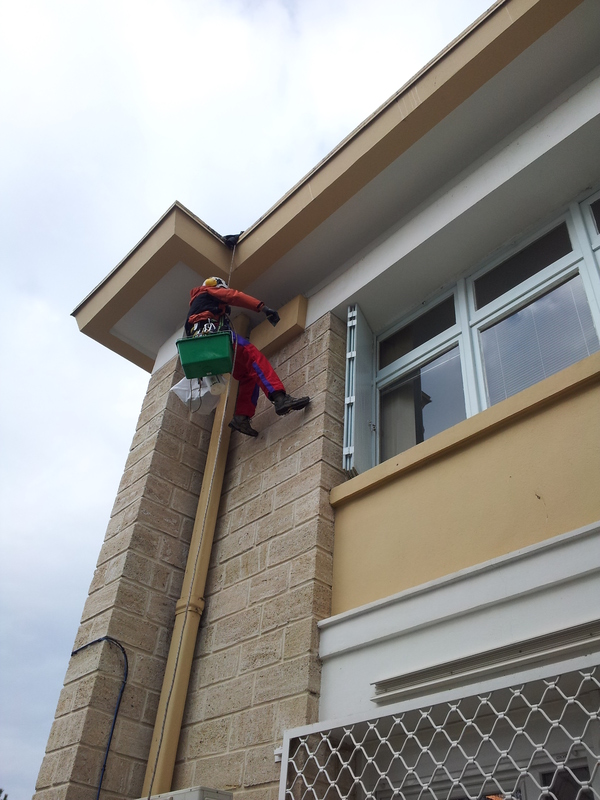 Travaux en hauteur : pose d'copic anti-pigeons