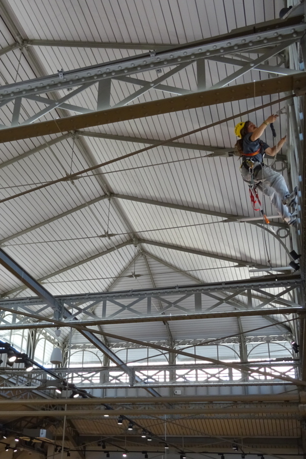  Travaux en hauteur sur corde, dmontage de luminaire