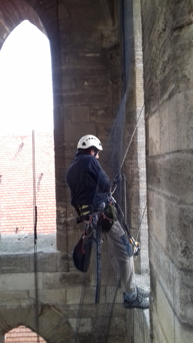 Pose de filets anti-volatiles Cathdrale St Pierre