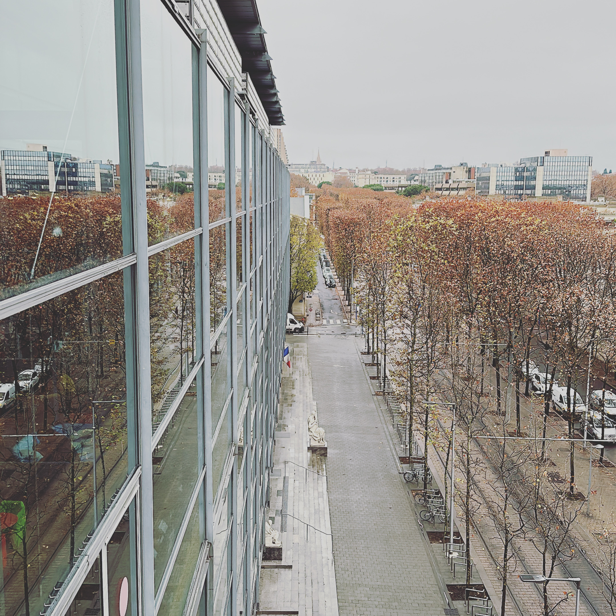 Nettoyage des vitres de la Mdiathque Emile Zola  Montpellier 