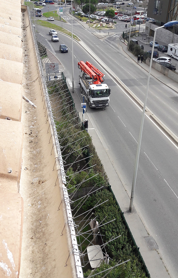 Pose de pics anti-volatiles sur cordes