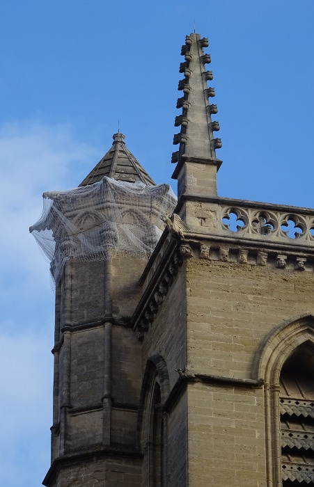 Pose filets pare gravats en accs difficile sur la cathdrale Saint Pierre